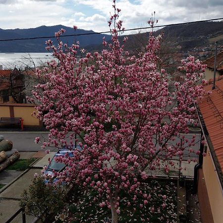 Apartament Casa Darius Orszowa Zewnętrze zdjęcie