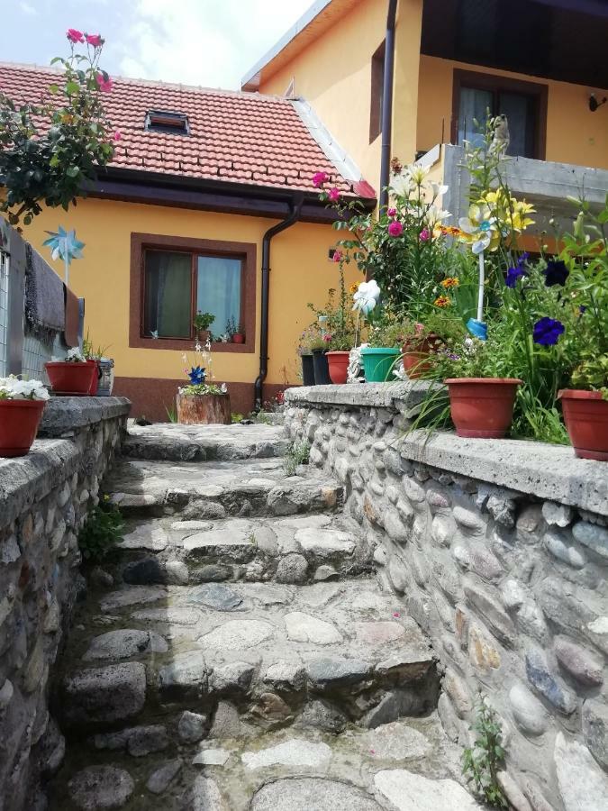 Apartament Casa Darius Orszowa Zewnętrze zdjęcie